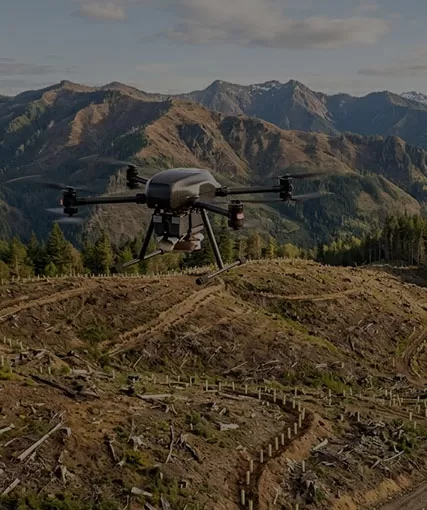 How Drones Are Being Used in Forestry